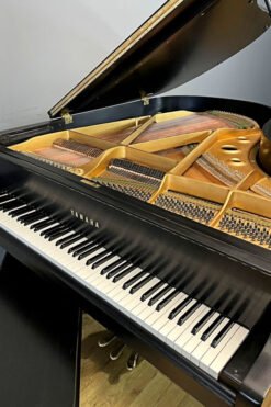Yamaha Model G2 Harp