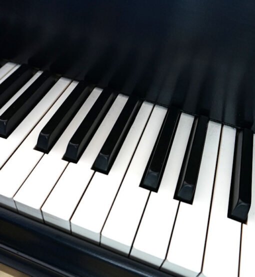 Baldwin Model L Grand Piano Artist Series Ebony Black - Image 12