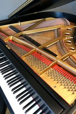 Kurtzmann Grand Piano Like New