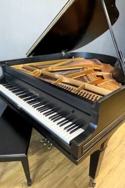 Ellington Grand Piano Ebony Black Gallery