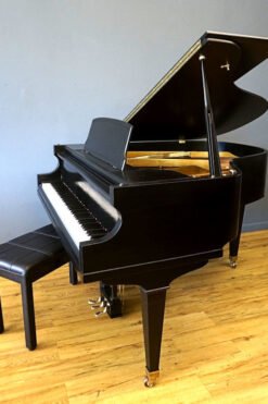 Ivers Pond Baby Grand Piano Black Ebony Side 1