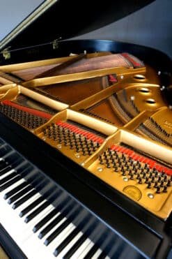 Baldwin Model M Artist Series Baby Grand Piano Ebony Black 11 Baldwin Baby Grand Piano Model M Inside