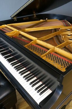 Baldwin Grand Piano Inside Artist