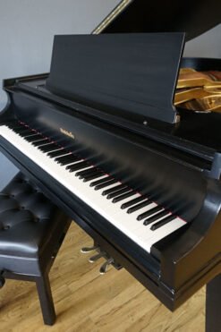 Baldwin Model M Artist Series Grand Piano