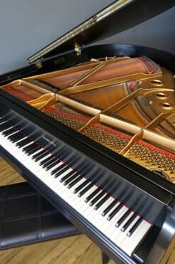 Baldwin Artist Series Grand Piano Inside 2