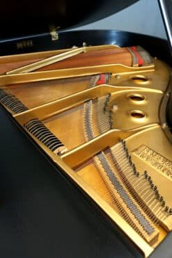 Baldwin Artist Series Grand Piano Inside
