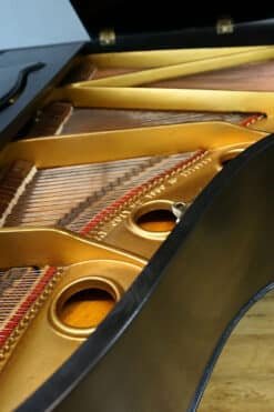 Schiller Baby Grand Piano Ebony Black, New Matching Bench 13 Schiller Baby Grand Piano Plate