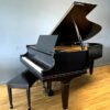 Baldwin Grand Piano Model L Artist Series Black