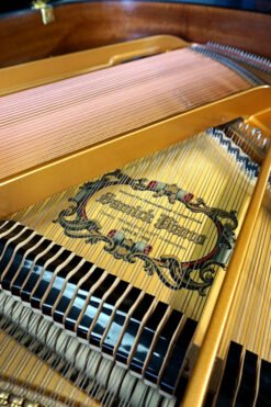 Samick Baby Grand Piano Inside