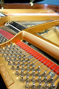 Samick SIG 50 Baby Grand Piano Plate