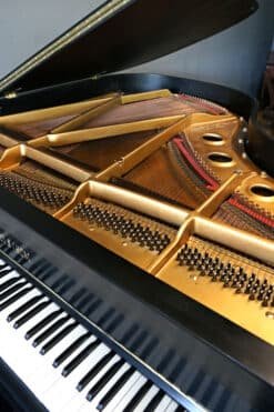 Baby Grand Piano Ebony Black, Matching Bench 9 Holstrom Plate