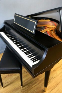 Petite Grand Piano