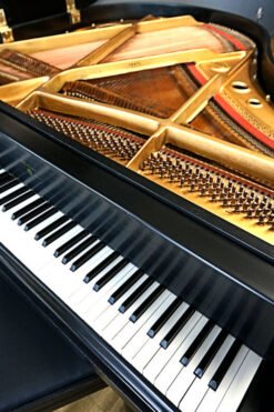 Petite Grand Piano Art Case