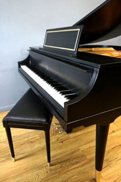 Petite Grand Piano Ebony Black