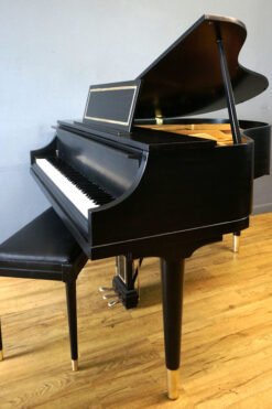 Weber Art Case Petite Grand Piano Black