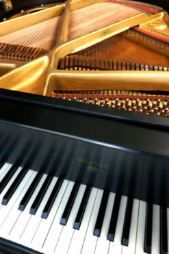 Weber Petite Grand Piano Decal
