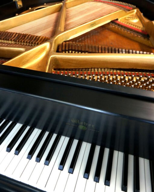 Weber Petite Grand Piano Ebony Black, Matching Bench - Image 5