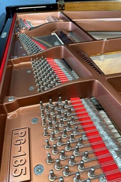 Black Pramberger Grand Piano PG 185