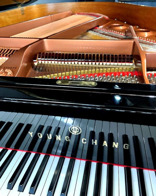 Young Chang PG-185 Pramberger Grand Piano Polished Black - Image 2