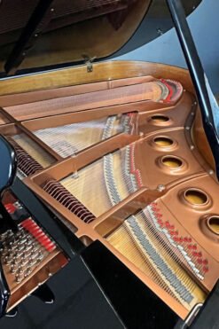 Young Chang Grand Piano Pramberger