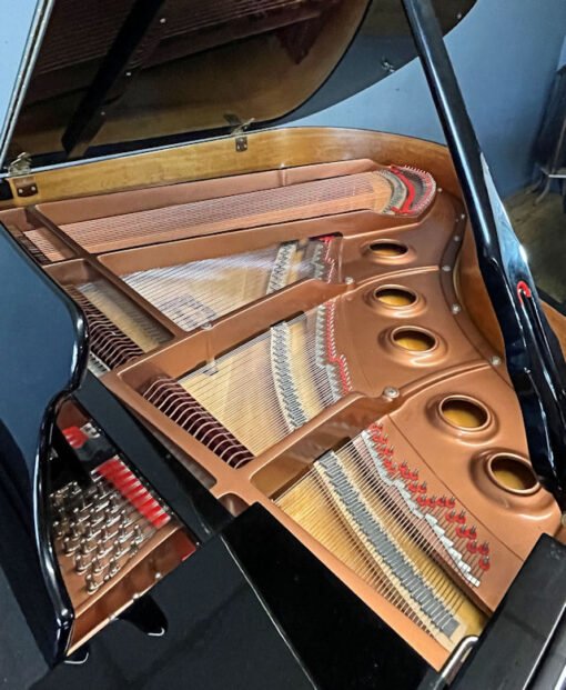 Young Chang PG-185 Pramberger Grand Piano Polished Black - Image 9