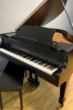 Samick Baby Grand Piano Gallery II