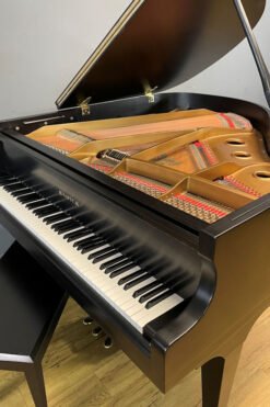 Samick Baby Grand Piano Inside Harp