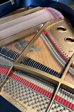 Samick SG 155 Inside Harp