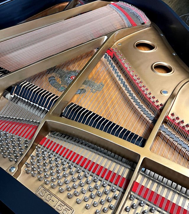 Samick SG 155 Inside Harp Promo