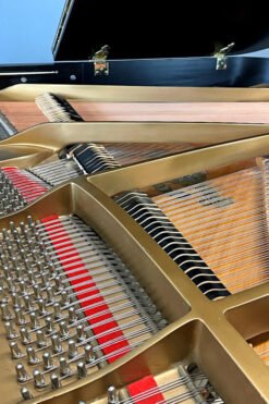Samick SG 155 Strings