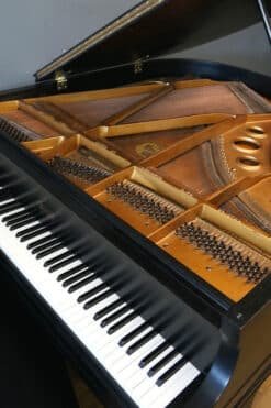Baby Grand Piano Ebony Black with Matching Piano Bench 11 Everett Grand Piano