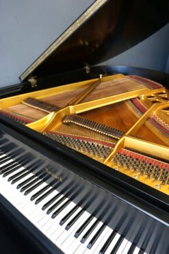 Baby Grand Piano Kawai