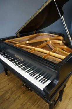 Baby Grand Piano Schiller Art Case