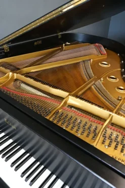 Baldwin Model L Artist Series Grand Piano Black Strings