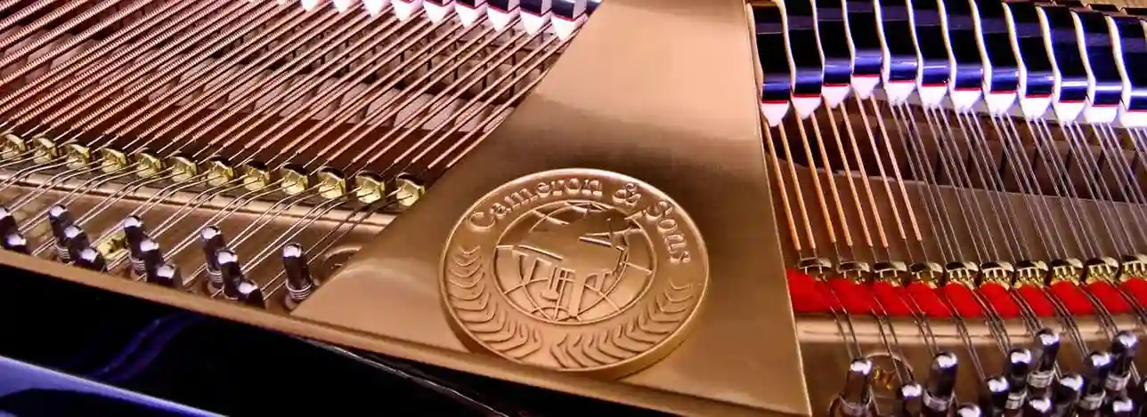 Cameronpiano1