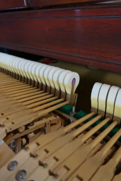 Viennese Kimball Schwander Action