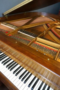 5 8 Kimball Bosendorfer Baby Grand PIano American Walnut