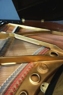Pearl River Baby Grand Player Piano GP142 Petite Polished Black 13 Pearl River Emblem