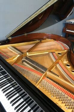 Pearl River Baby Grand Player Piano GP142 Petite Polished Black 14 Pearl River GP 142 Harp Strings